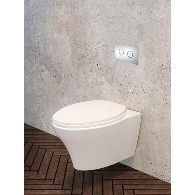 Caroma Invisi Rectangle Dual Flush Plate with Round Buttons - White