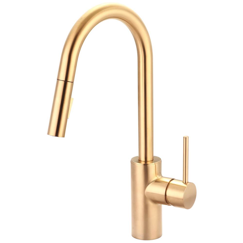Pioneer Single Handle Pull-Down Kitchen Faucet