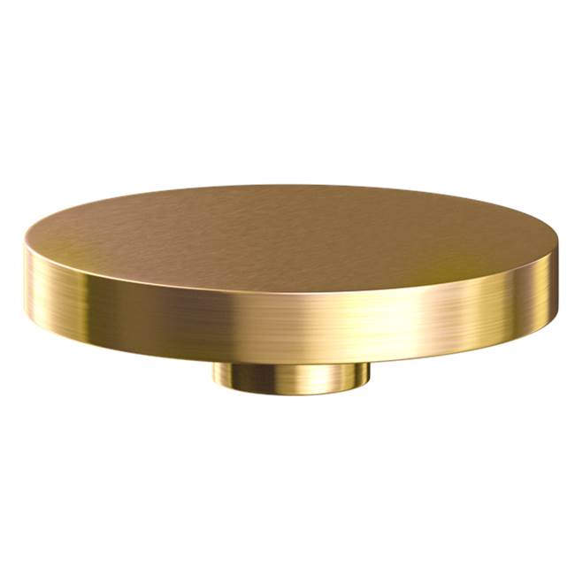 The Galley Ideal Hole Cover in PVD Brushed Gold Stainless Steel