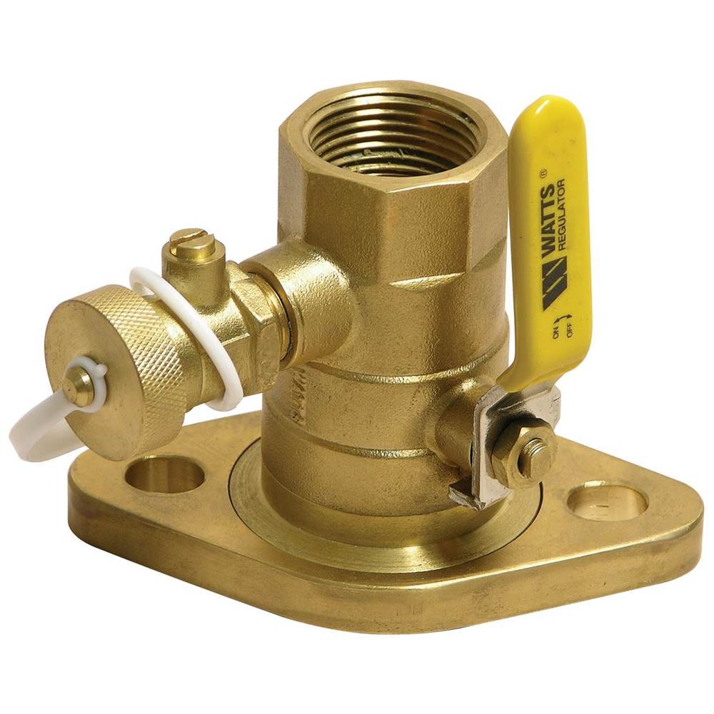 Watts 1 In Isolation Pump Flange, Threaded, Purge Port And Swivel Flange